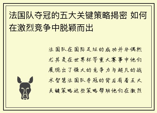 法国队夺冠的五大关键策略揭密 如何在激烈竞争中脱颖而出