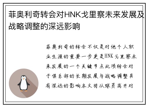 菲奥利奇转会对HNK戈里察未来发展及战略调整的深远影响 菲奥利奇转会对HNK戈里察未来发展及战略调整的深远影响